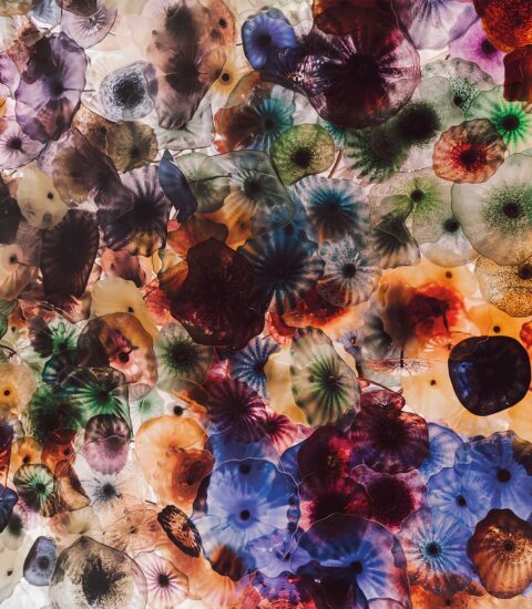 طرسی وال ۱۲