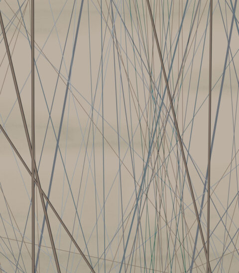 طرسی وال ۲۱