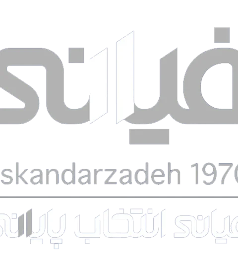 فیانی - اسکندرزاده ۱۰
